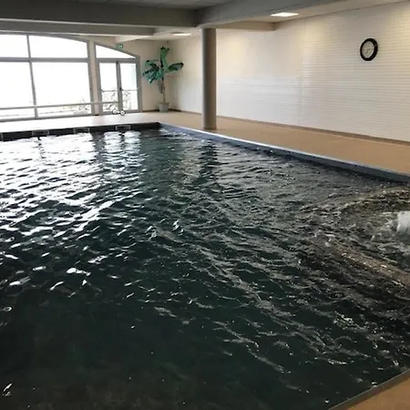 Apartment Duplex 7 Pers Avec Piscine Couverte, Fitness Et Parking, A 400m Des Pistes Et Proche Centre - Fr-1-404-256 La Mongie